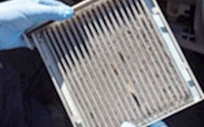 Cabin Air Filter
