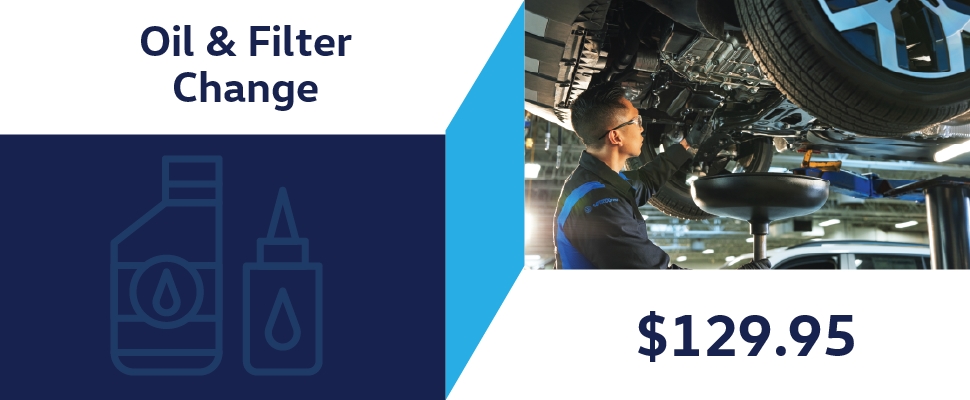 Oil & Filter Change