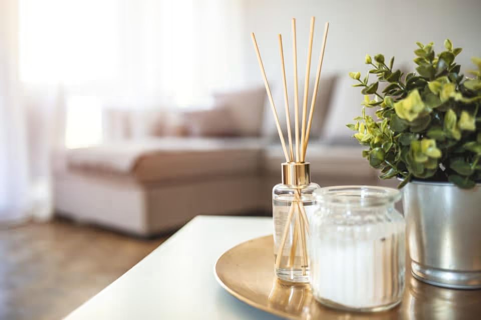Oil Diffuser in Living Room