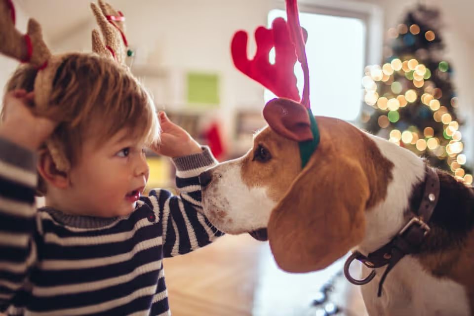 Cute little dog and cute little boy dressed up as reindeer