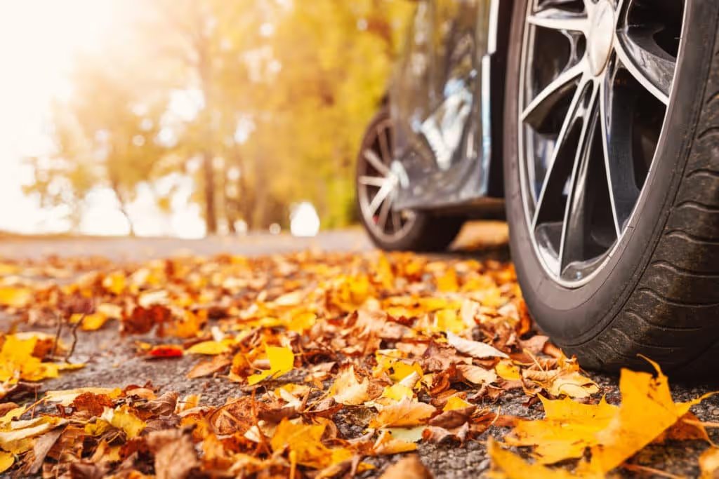 Car on asphalt road on autumn day at park. Colored leaves lying under the wheels of the vehicle.