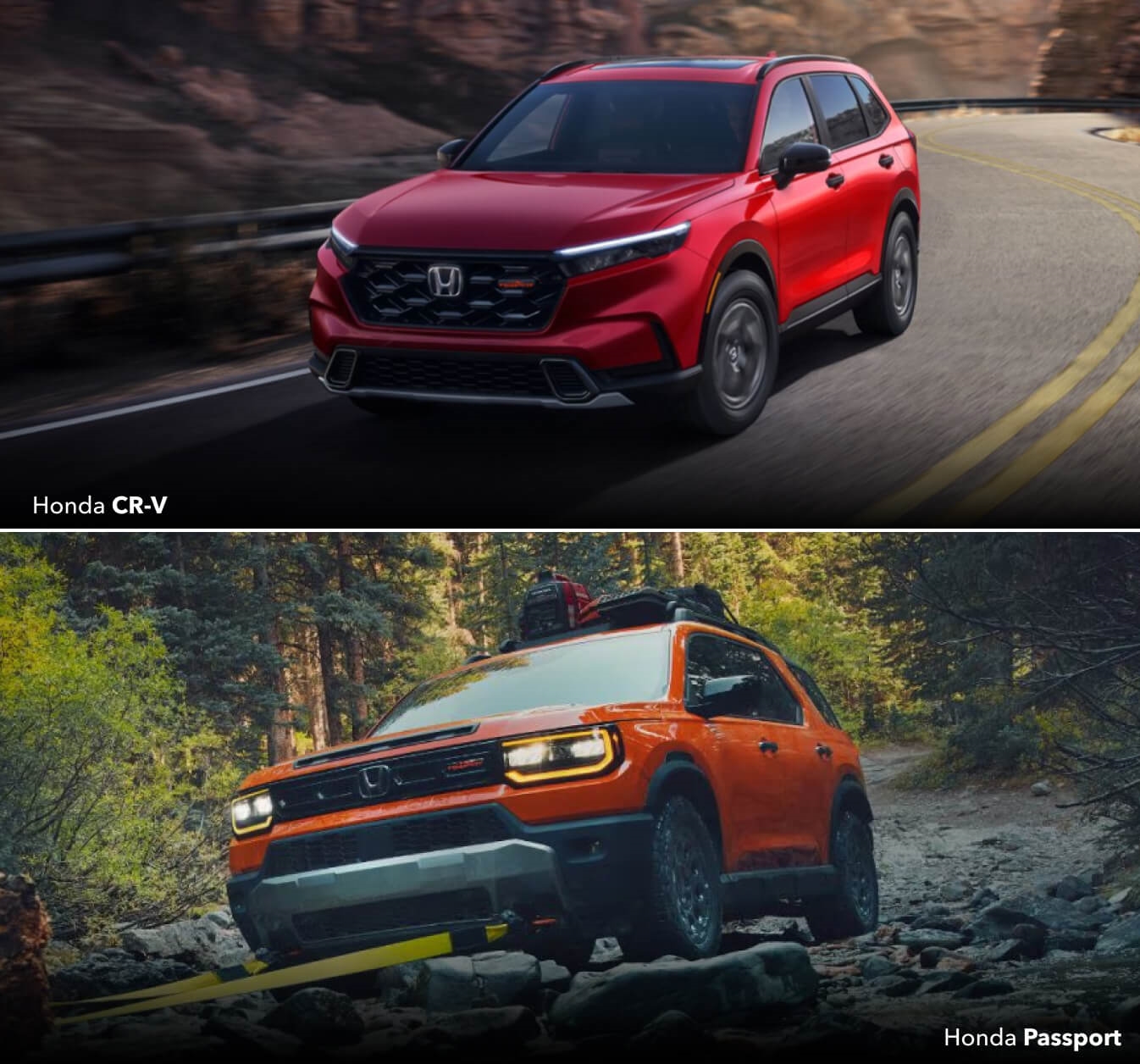 Honda Passport vs. CR-V Price & Trims
