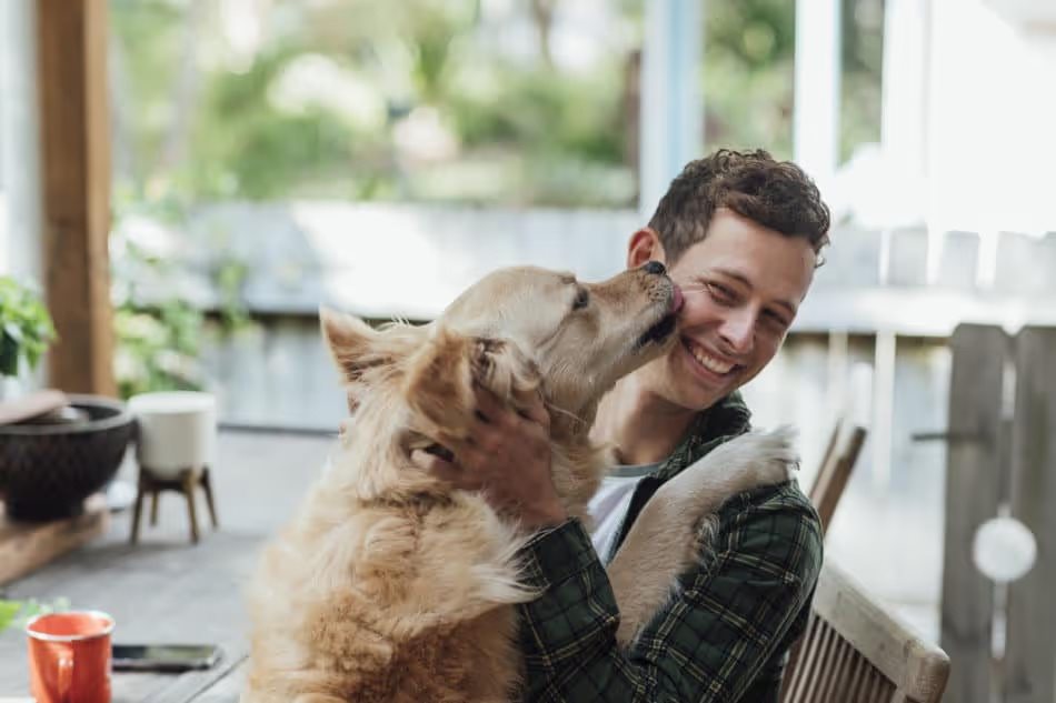 Dog licking their owner's face