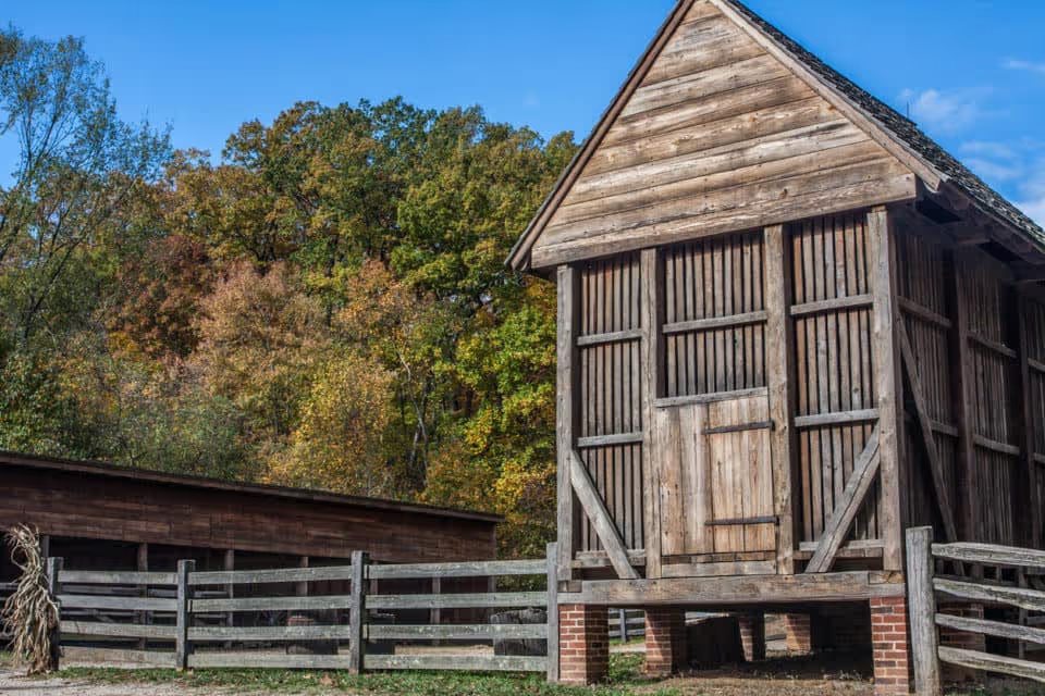 Farm buildings at Mount Vernon with fall trees in the background