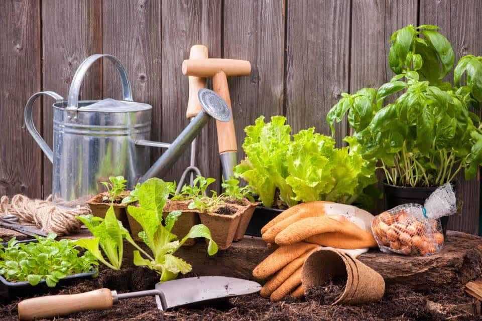 Capital Remodel And Garden Show