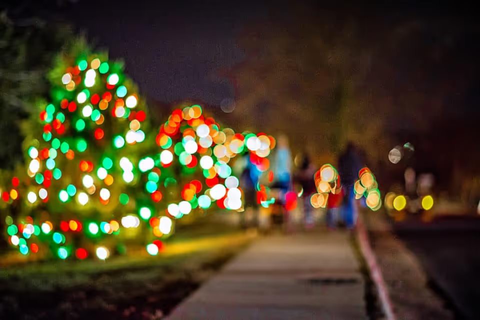 National Christmas tree
