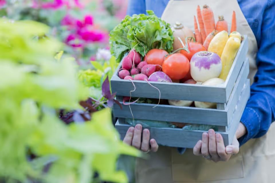 Farmers Market