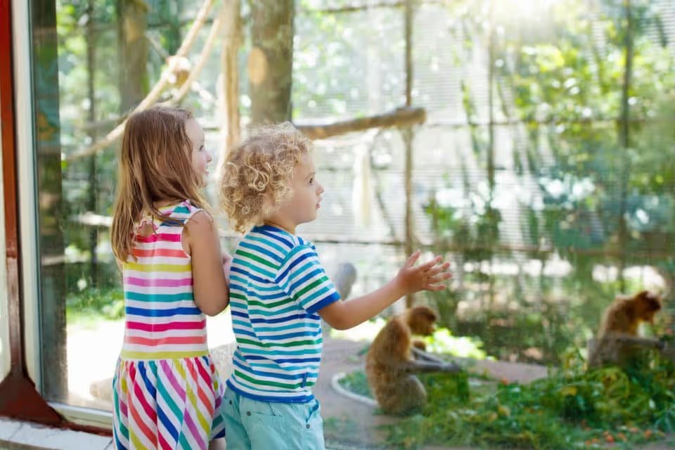Roer's Zoofari