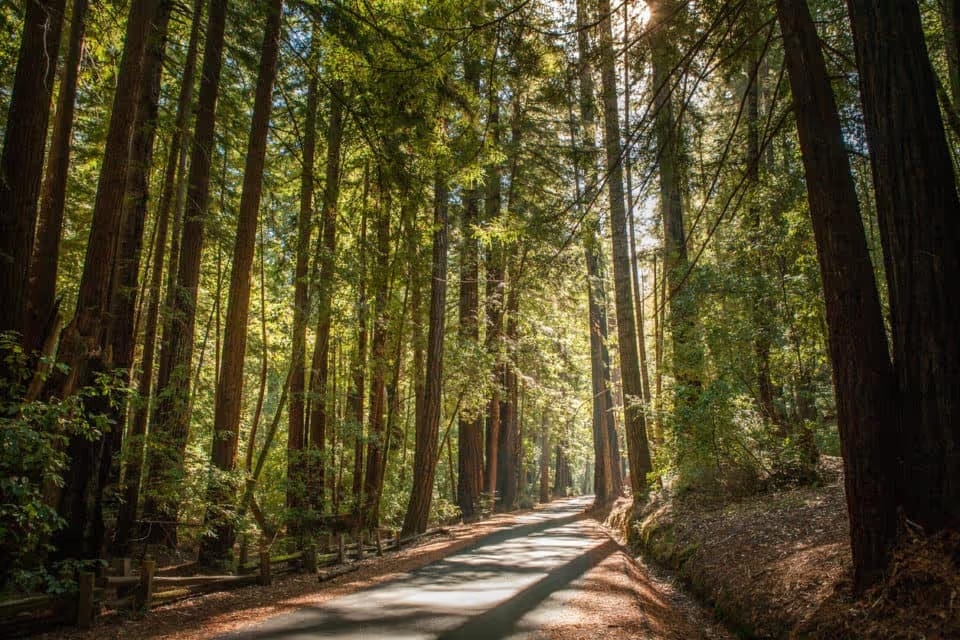 Washington & Old Dominion Railroad Regional Park
