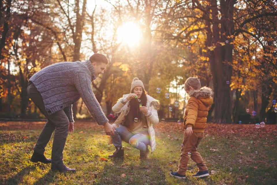 Fall activities