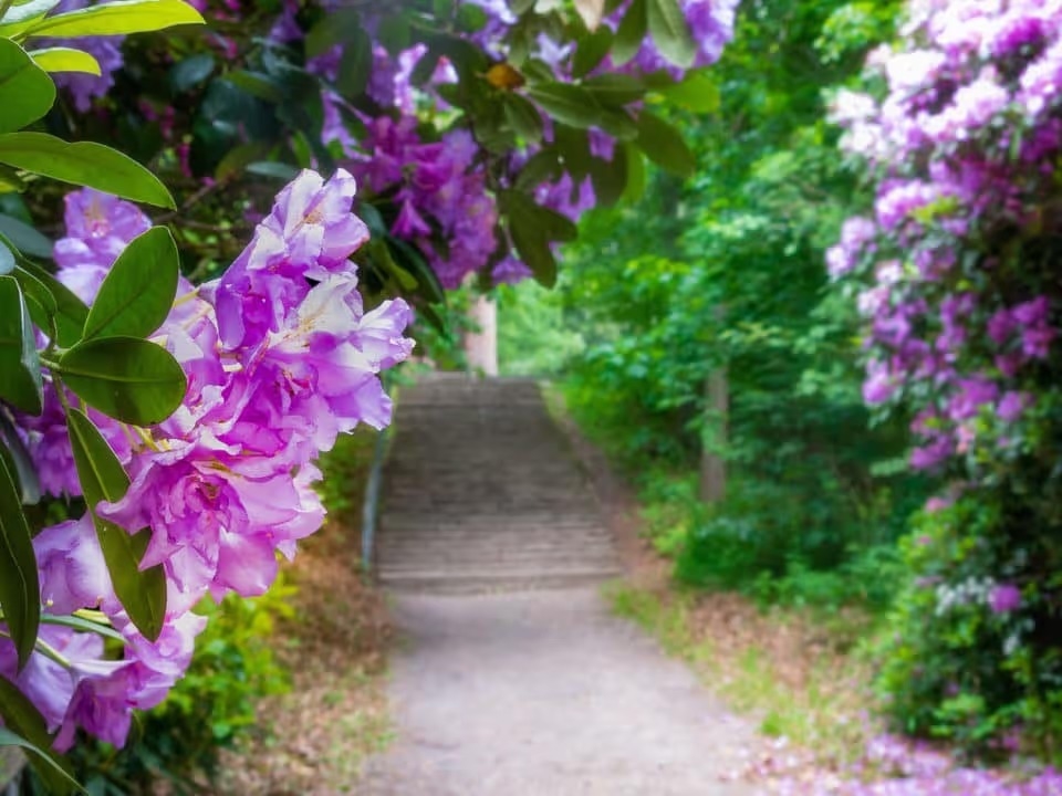 Botanical Gardens