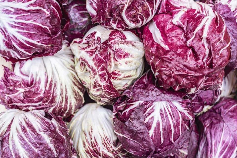 Overhead image of radicchio.