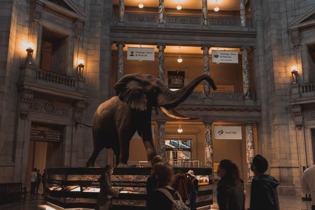 The Man Who Founded the Smithsonian Institute