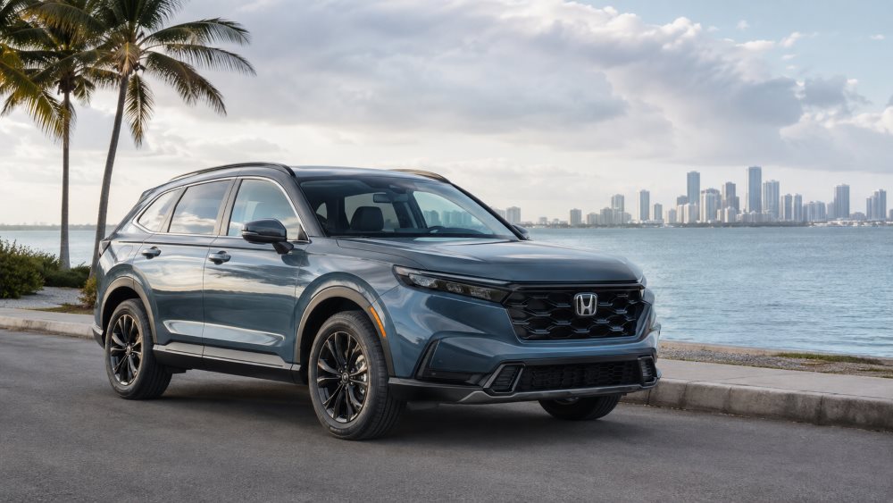 Honda parked near Biscayne Bay with coastal haze over the water