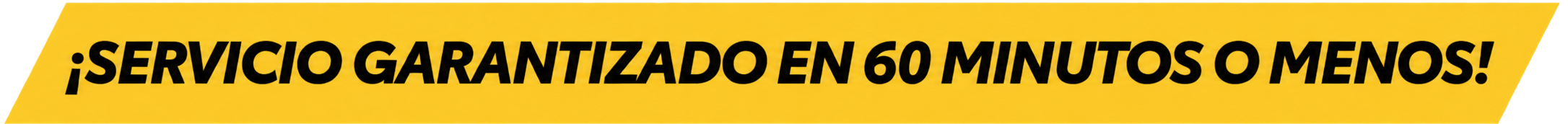 ¡Servicio garantizado en 60 minutos o menos!