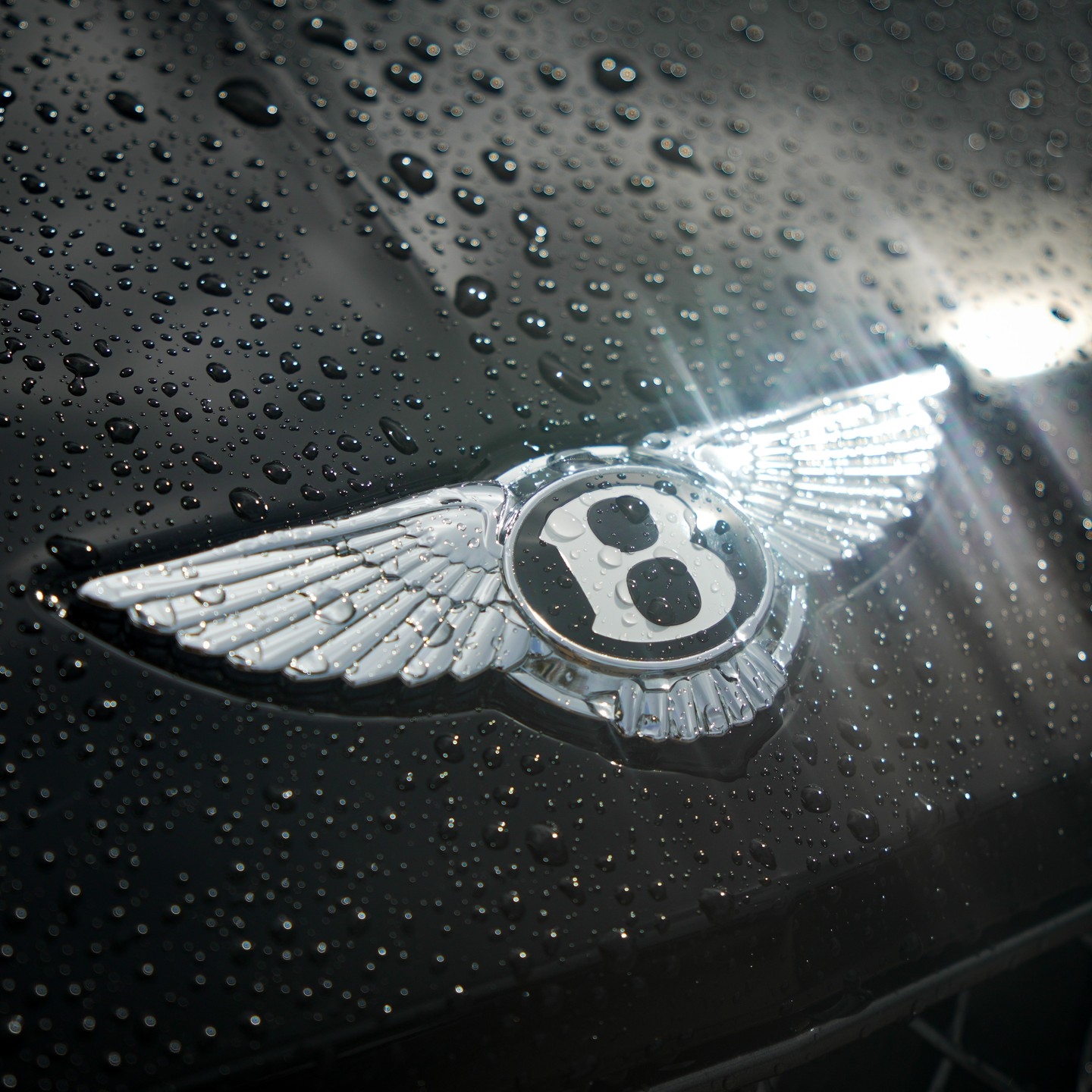 Freshly washed Bentley after complimentary wash and vacuum in Jacksonville
