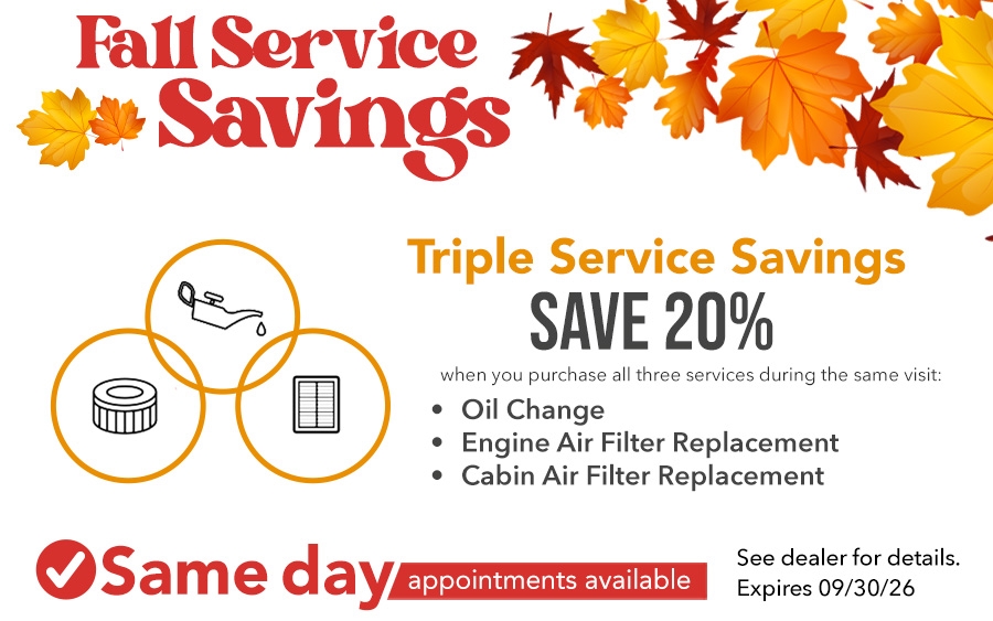 SAVE 20%