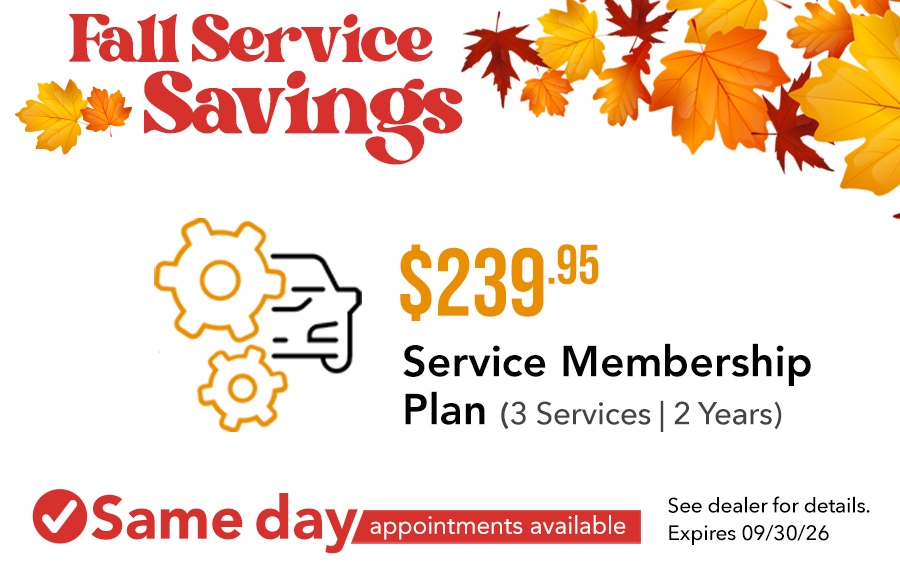 $239.95 Plan