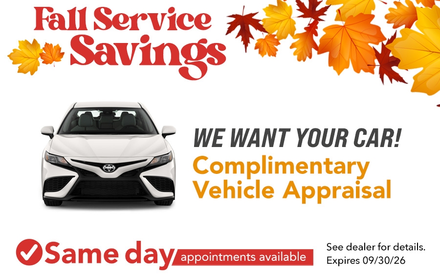 WE WANT YOUR VEHICLE!