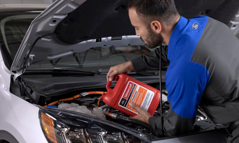 Ford-Auto-service