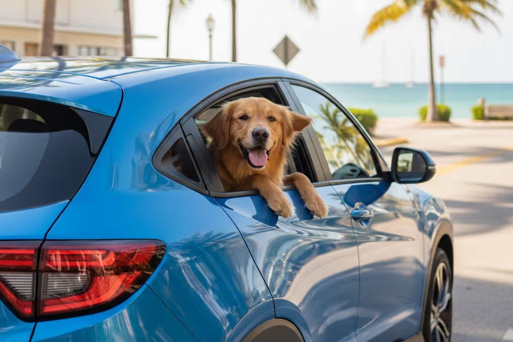 2026-honda-hr-v-pet-friendly