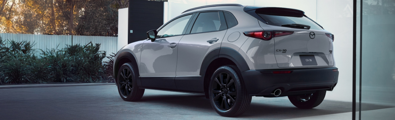 CX-30
