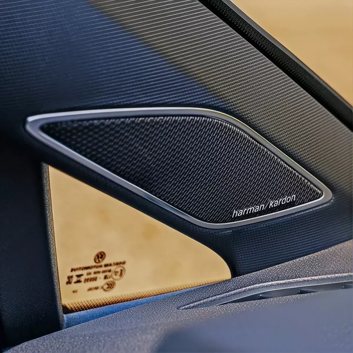 Harman Kardon speaker grille in the Golf R door pillar