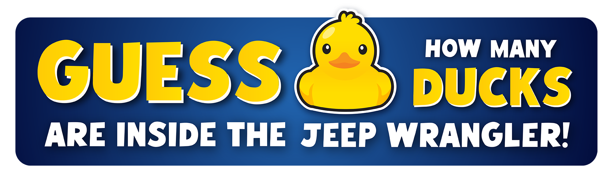 Guess how many ducks are in the Jeep Wrangler!