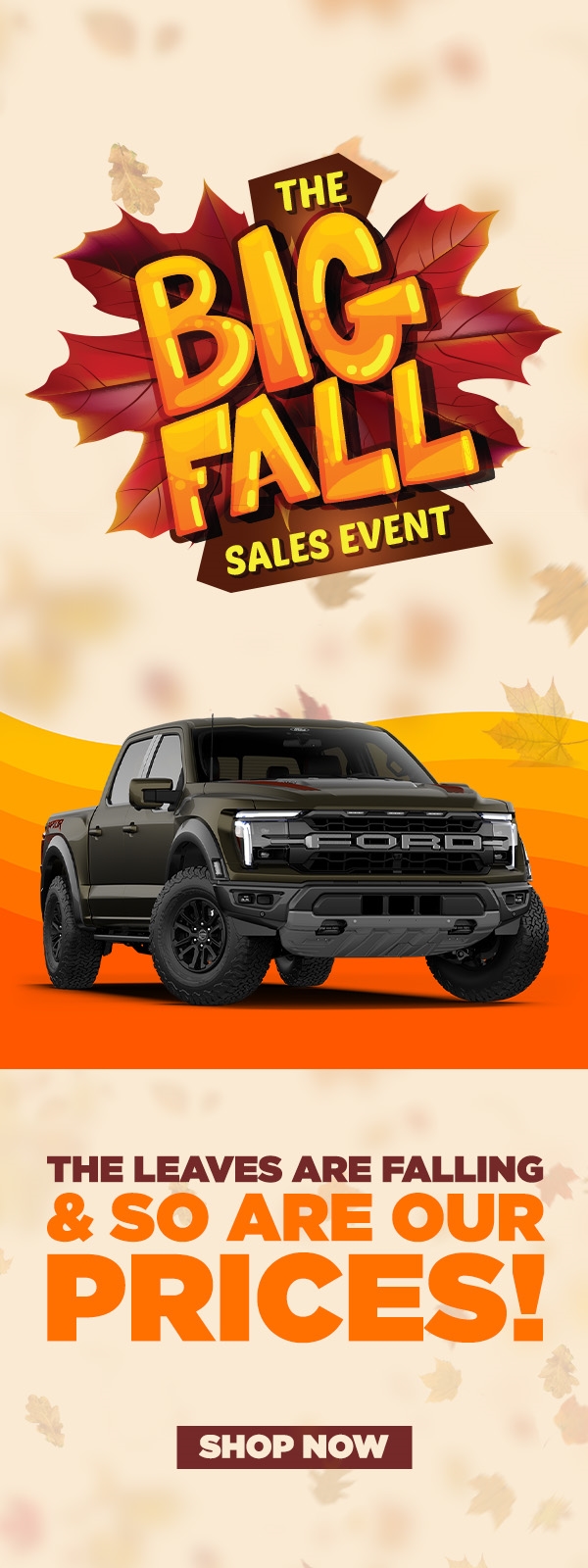 Vehicle Specials
