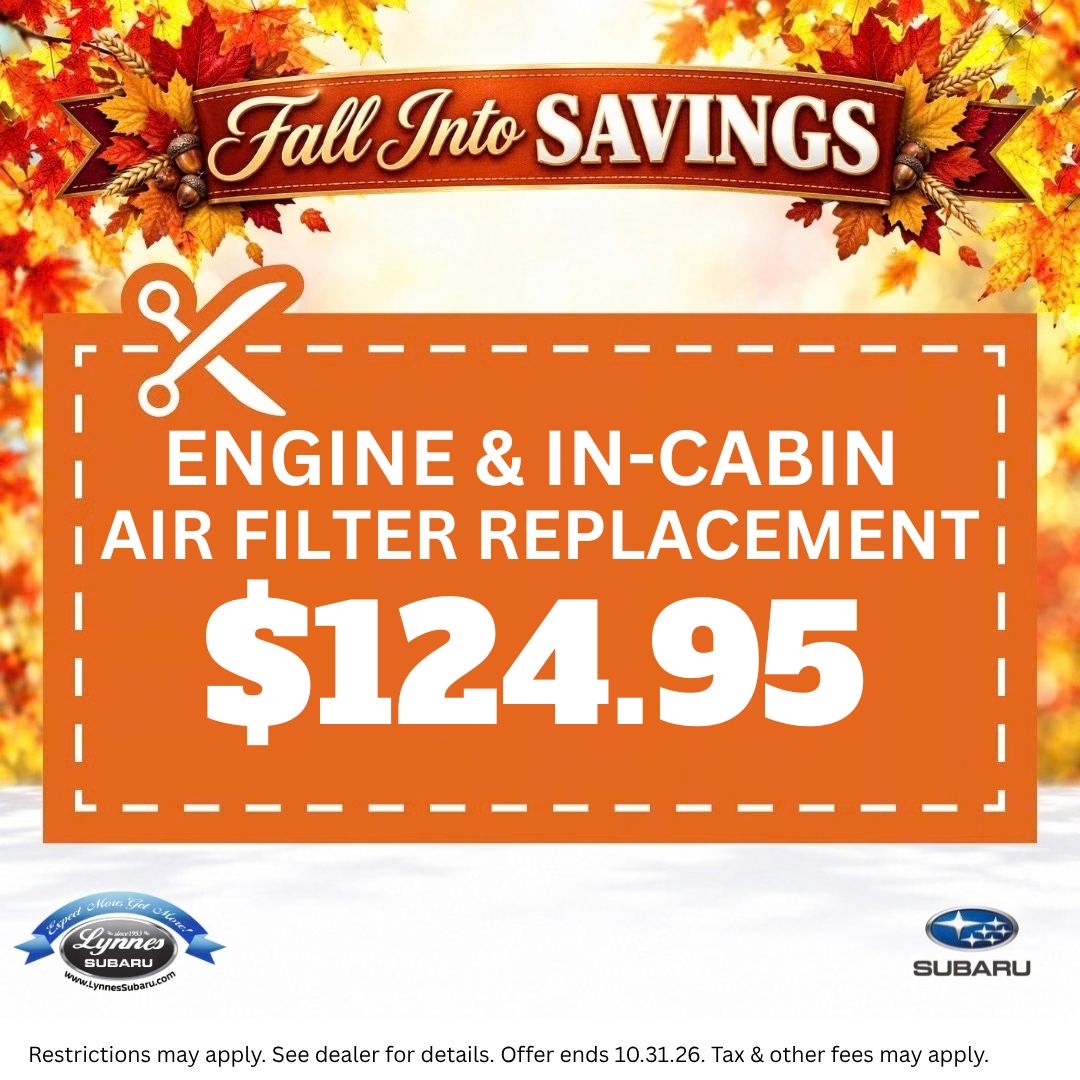 Engine & In Cabin Air Filter