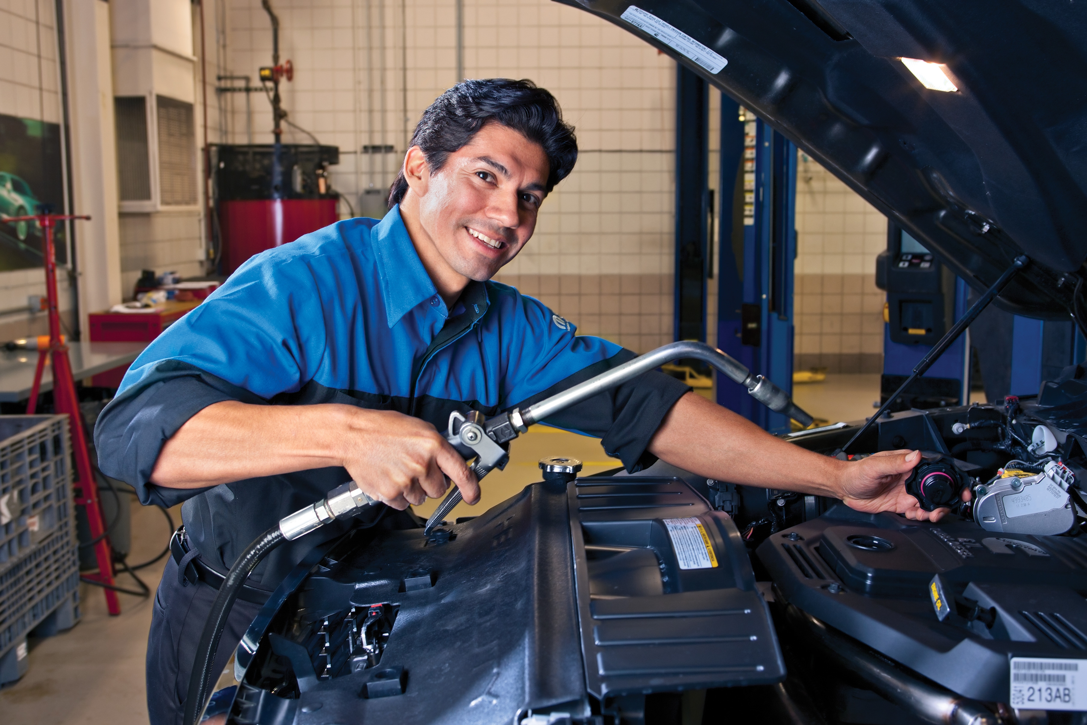 Vehicle Inspection and Battery Check