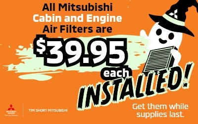 Cabin & Engine Air Filters