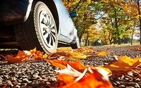 Fall Service Bundle