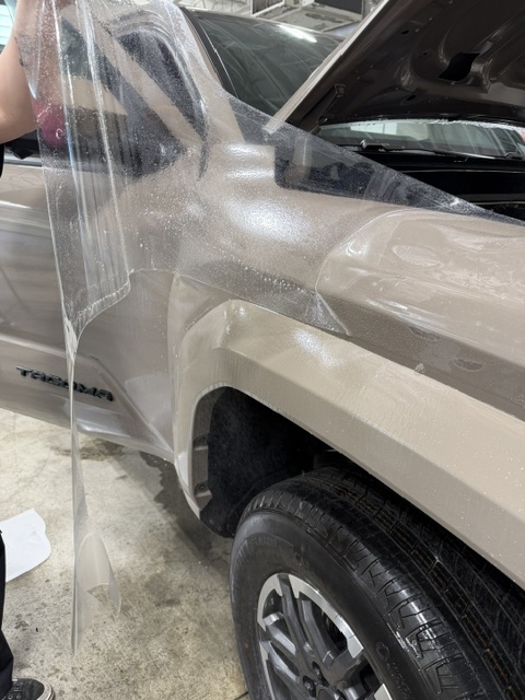 Paint Protection