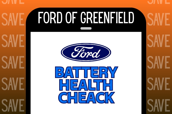 Battery Health Check