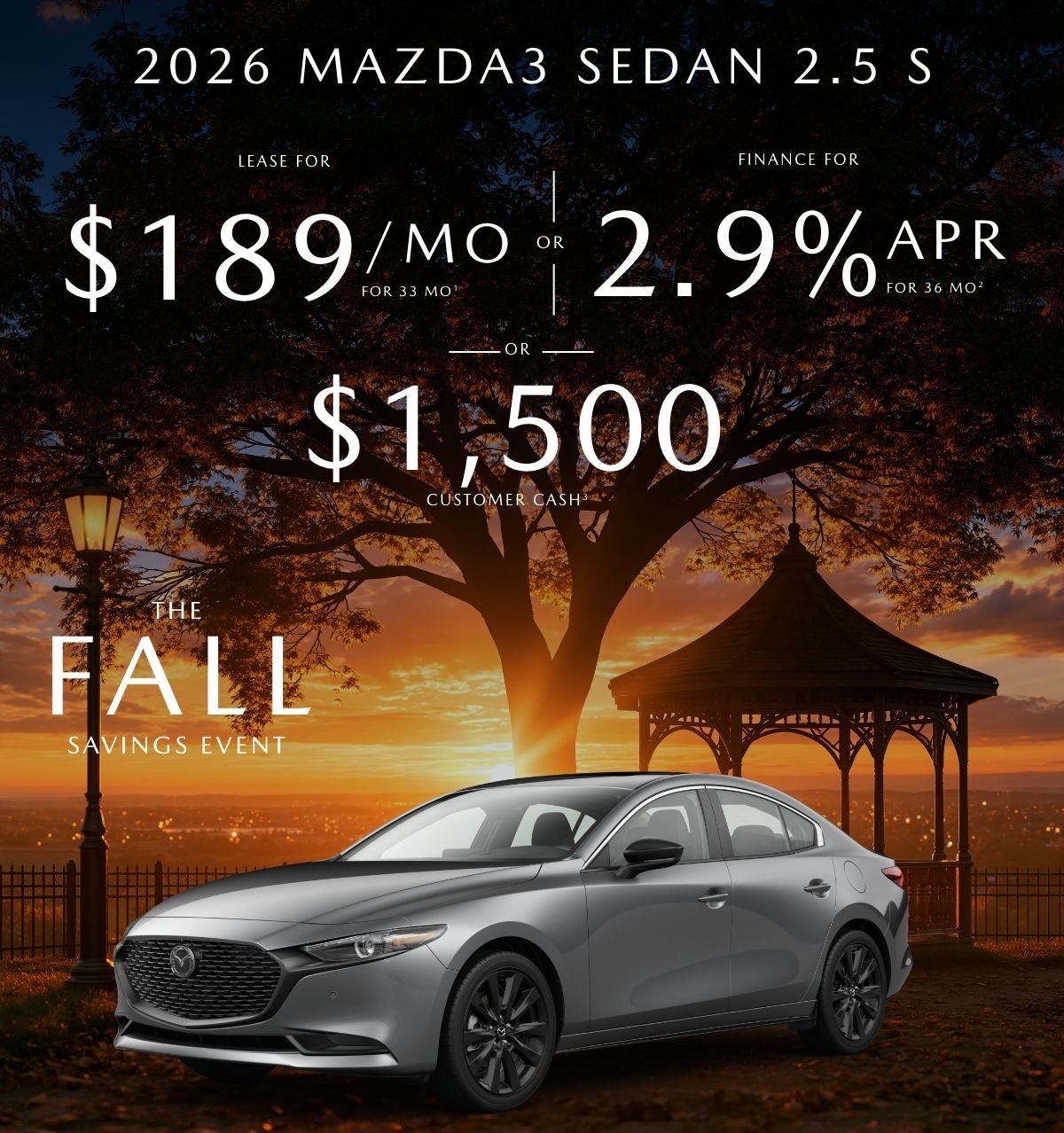 New Vehicle Special