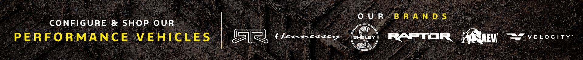 Promotional Banner